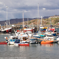 Buy canvas prints of 'Charming Mallaig: A Scottish Highland Haven' by Holly Burgess