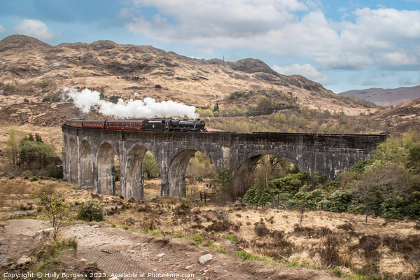 Harry Potter train on the rail in scotland Hogswort  Picture Board by Holly Burgess