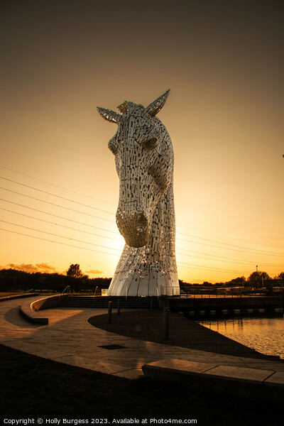 Kelpie horse statue at Helix in Scotland,  Picture Board by Holly Burgess