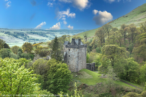 Castle Campbell Medieval Castle in Dollar Scotland Picture Board by Holly Burgess