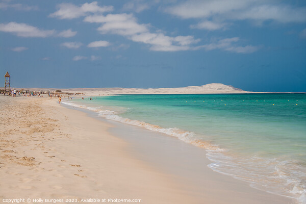 Unspoiled African Paradise: Boa Vista Revealed Picture Board by Holly Burgess