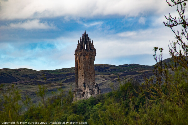 Sir William Wallace's Towering Tribute Picture Board by Holly Burgess