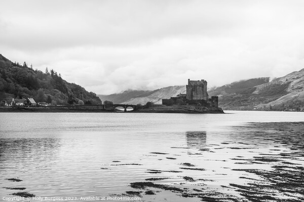 Scottish Fortress' Timeless Allure Picture Board by Holly Burgess