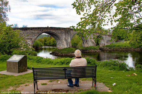 Deep in Throught looking at the Battle of Stirling bridge  Picture Board by Holly Burgess