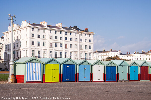 Brighton's Vibrant Waterfront: Chalets and Sea Vie Picture Board by Holly Burgess