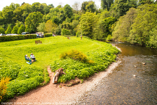 River Teviot, a nice summer day picnic by the river enjoying the sunshine at Jedburgh  Picture Board by Holly Burgess