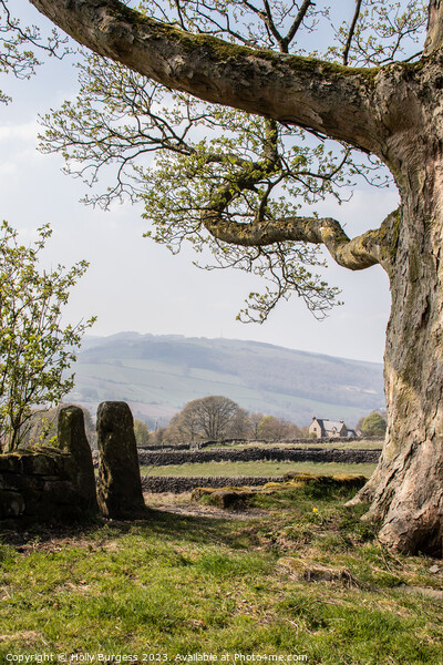 Enchanting Derbyshire: Curbar Edge Journey Picture Board by Holly Burgess