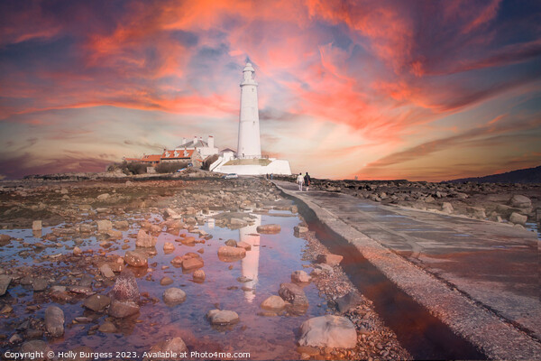 'Illuminated Solitude: St Mary's Lighthouse at Dus Picture Board by Holly Burgess