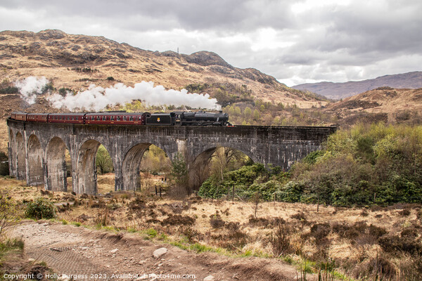 Iconic Glenfinnan Viaduct: The Harry Potter Train  Picture Board by Holly Burgess