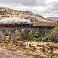 Buy canvas prints of Iconic Glenfinnan Viaduct: The Harry Potter Train  by Holly Burgess