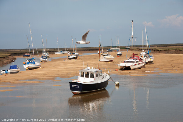 Coastal Serenity at Hunstanton Picture Board by Holly Burgess