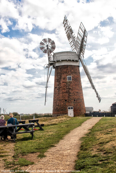 The Winds of Norfolk's Horsey Windpump Picture Board by Holly Burgess