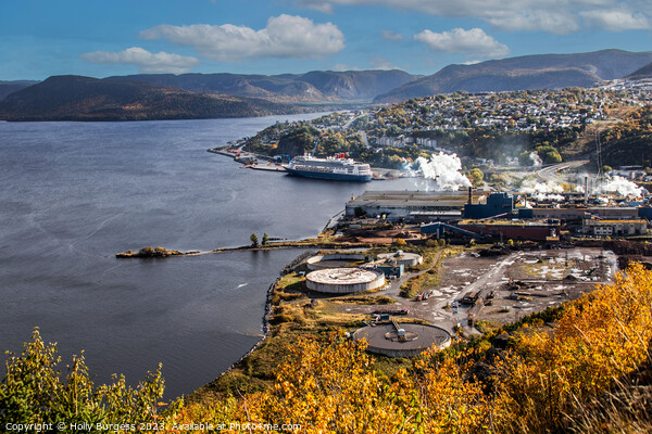 Panoramic Vista from St. Johns, Canada Picture Board by Holly Burgess