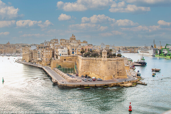 Valletta's Heritage: Malta's Timeless Capital Picture Board by Holly Burgess