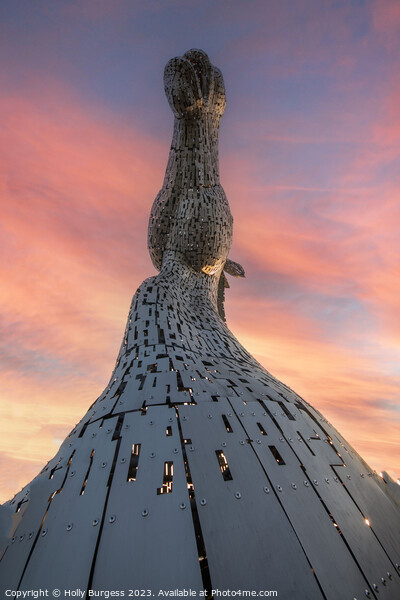 Dusk Descends on Kelpie Sculptures Picture Board by Holly Burgess