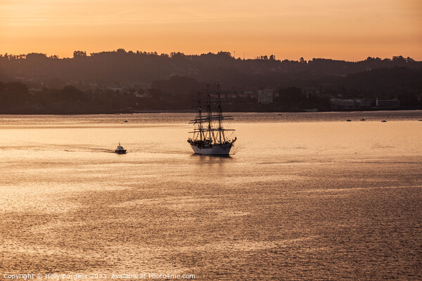 Gallon sailing in to the sunrise at the port of La Coruna  Picture Board by Holly Burgess