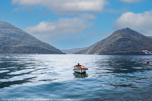 Sailing down the Straits of Kotor  Picture Board by Holly Burgess