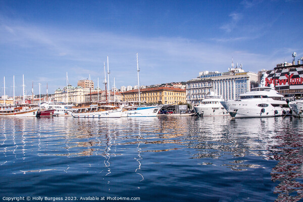 Rijeka Marina, Croatian Port on Kvarner Bay Picture Board by Holly Burgess
