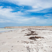 Buy canvas prints of Outdoor oceanbeach Very windy daywith the whispers of the sand in Falklands  by Holly Burgess