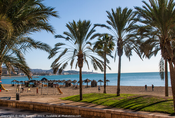 Malaga beach Costa Del Sol  Picture Board by Holly Burgess