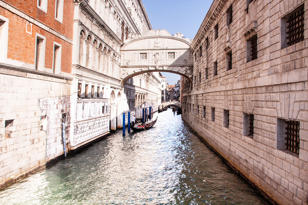 Bridge of Sighs Venice  Picture Board by Holly Burgess