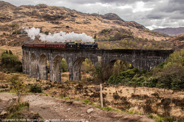 Glenfinnan Viaduct, West highland Line used as Harry Potter Filming  Picture Board by Holly Burgess