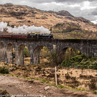 Buy canvas prints of Glenfinnan Viaduct, West highland Line used as Harry Potter Filming  by Holly Burgess