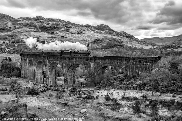 Jacobite Steam Locomotive  West highlands line in Scotland  Picture Board by Holly Burgess