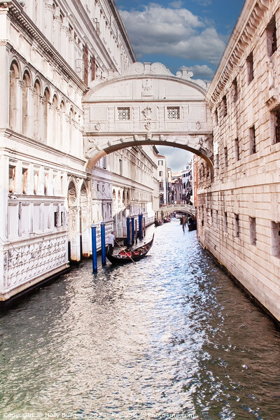 Bridge of Sighs Venice  Picture Board by Holly Burgess