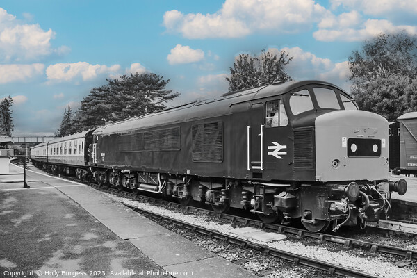 British Railway Diesel train  Picture Board by Holly Burgess