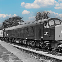Buy canvas prints of British Railway Diesel train  by Holly Burgess