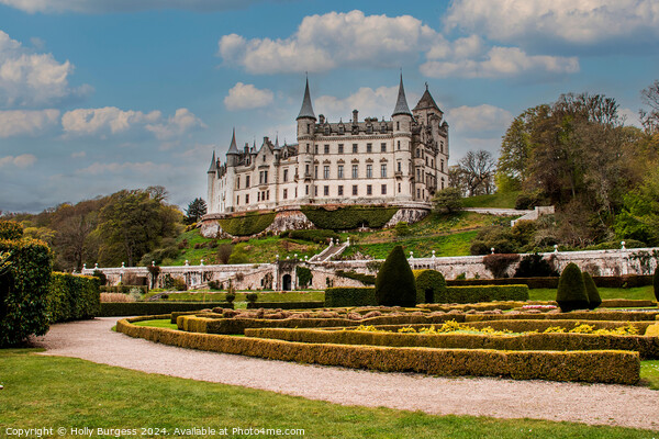 Dunrobin Castle Highland of Scotland  Picture Board by Holly Burgess