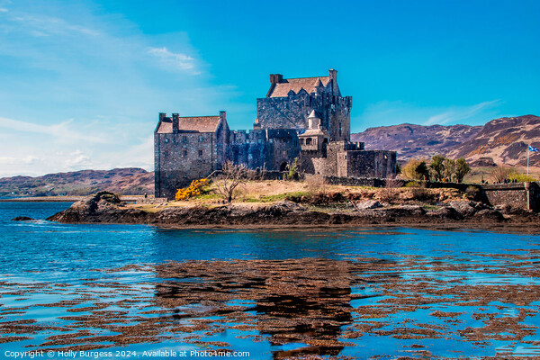 Eilean Donan A castle surrounded by a body of wate Picture Board by Holly Burgess