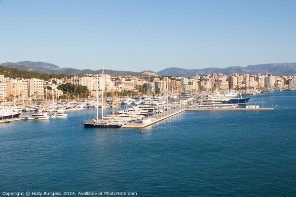 Palma Marina Port Picture Board by Holly Burgess