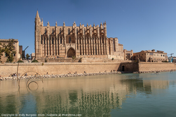 Palma Cathedral  Picture Board by Holly Burgess