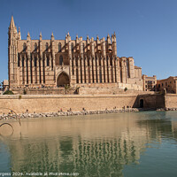 Buy canvas prints of Palma Cathedral  by Holly Burgess
