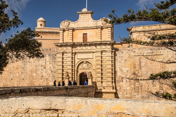 Mdina Entrance to the walled City Valleta  Picture Board by Holly Burgess