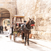 Buy canvas prints of Horse and carriage  by Holly Burgess