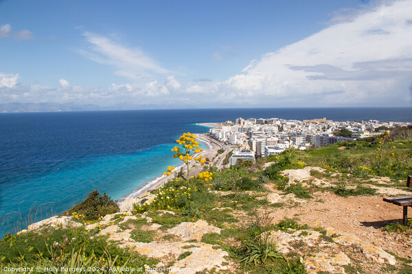 Panoramic View of Rhodes from the top of a mountion Greece Picture Board by Holly Burgess