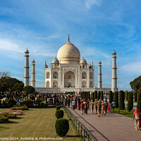 Buy canvas prints of Taj Mahal by Holly Burgess