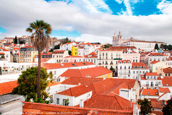 Roof tops leading to the center of Lisbon Portugal  Picture Board by Holly Burgess