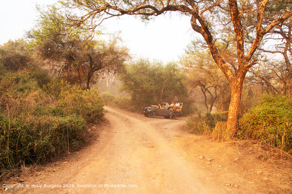 Ranthambore Sunrise Landscape Picture Board by Holly Burgess