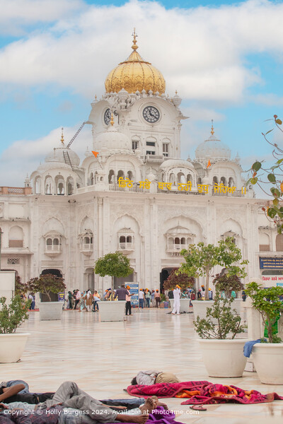 White Palace Golden Temple Agriculture Picture Board by Holly Burgess