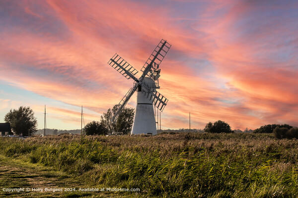Thurne Windmill Sunrise - Sunset Picture Board by Holly Burgess