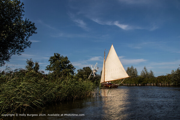 Thurne River Sailboat Landscape Picture Board by Holly Burgess