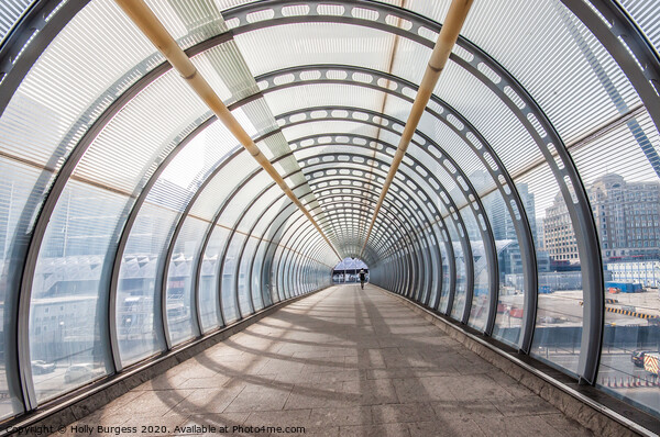 Glass walk way tunnel London  Picture Board by Holly Burgess