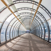 Buy canvas prints of Glass walk way tunnel London  by Holly Burgess