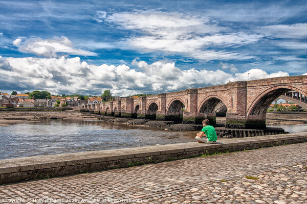 Berwick Up On  Tweed  Picture Board by Holly Burgess