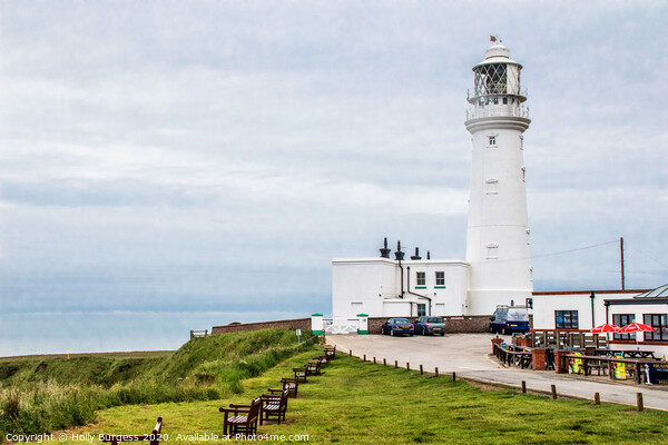 Flamborough Light house  Picture Board by Holly Burgess