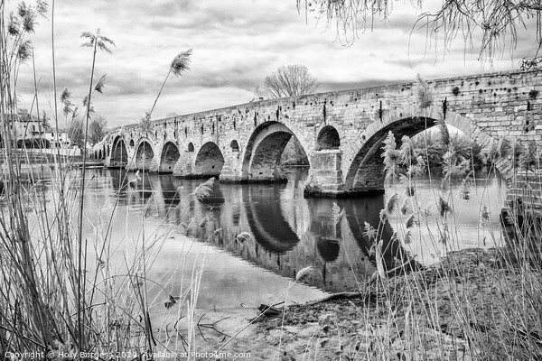 BEZIERS BRIDGE  Picture Board by Holly Burgess